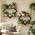 Floating Wall Plant Shelves Brown