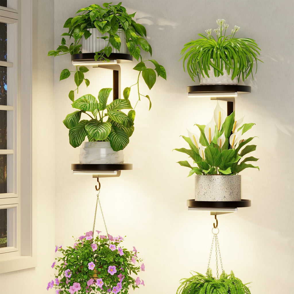 Metal Wall Plant Shelf Black