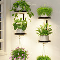 Metal Wall Plant Shelf Black
