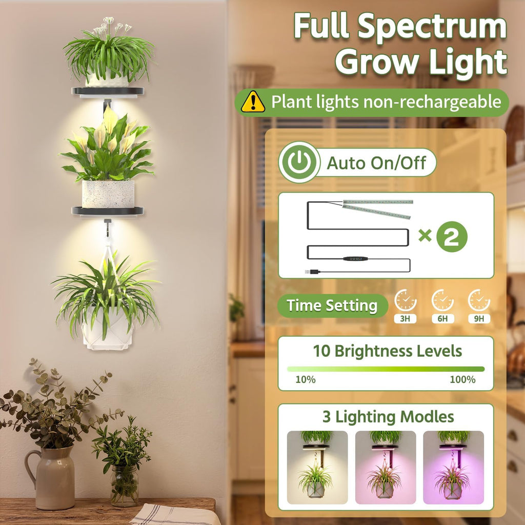Metal Wall Plant Shelf Black